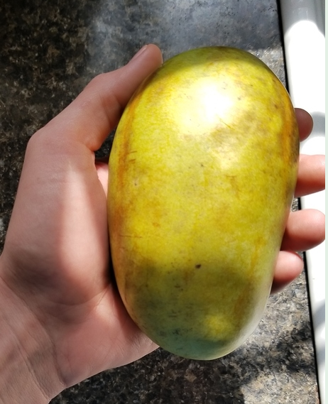 Balarama-White photo 3