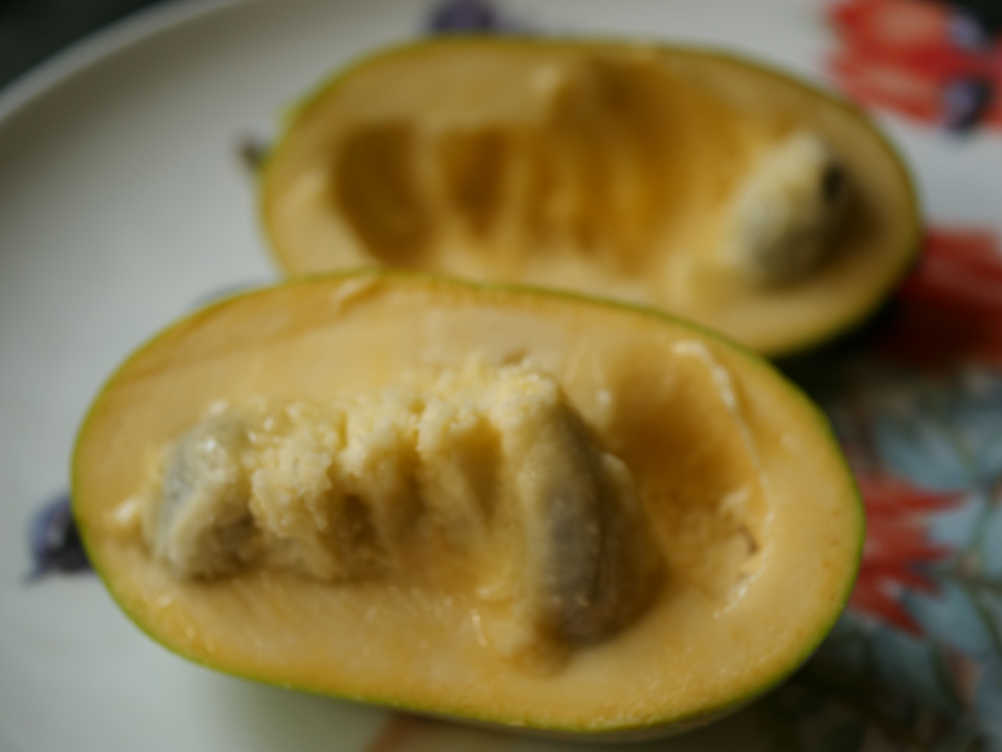 Bennys-Favorite-275-56-275-56 photo 3