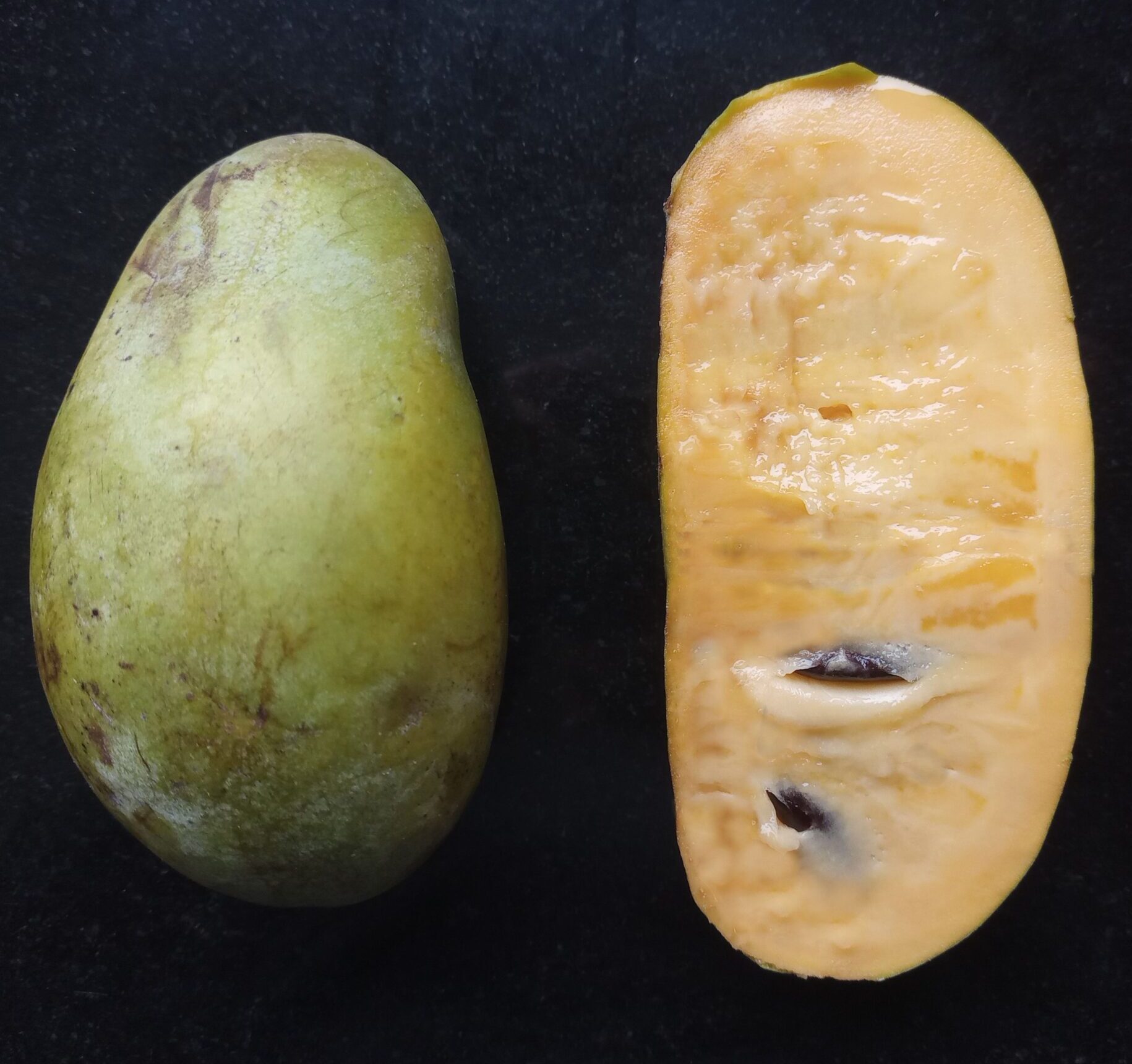 Bennys-Favorite-275-56-275-56 photo 2