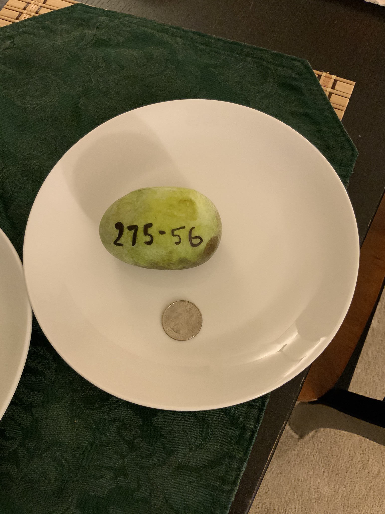 Bennys-Favorite-275-56-275-56 photo 1