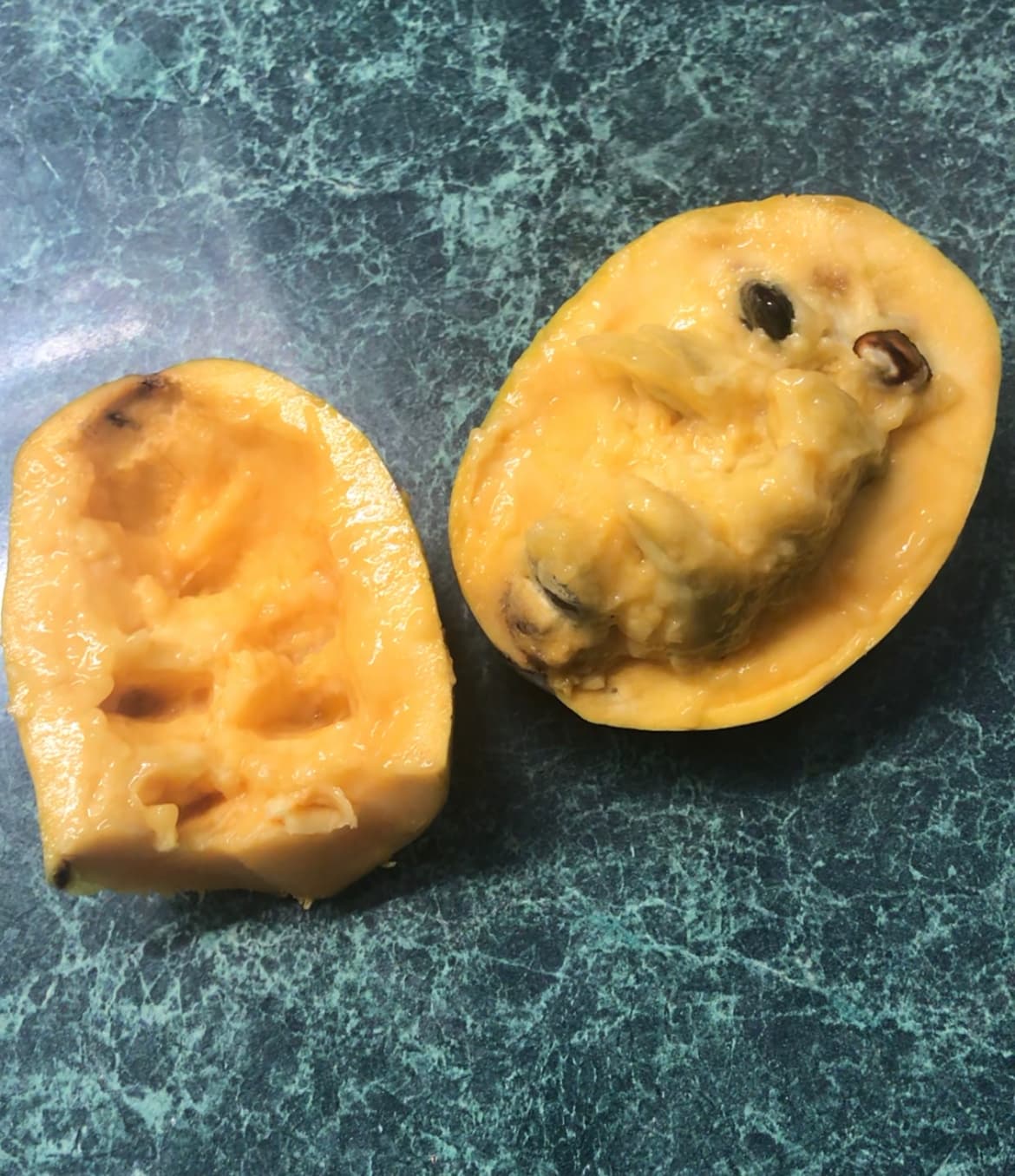 Halvins-Sidewinder photo 1