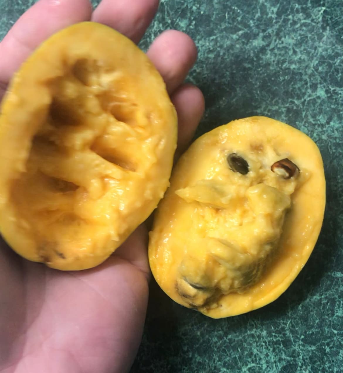 Halvins-Sidewinder photo 2