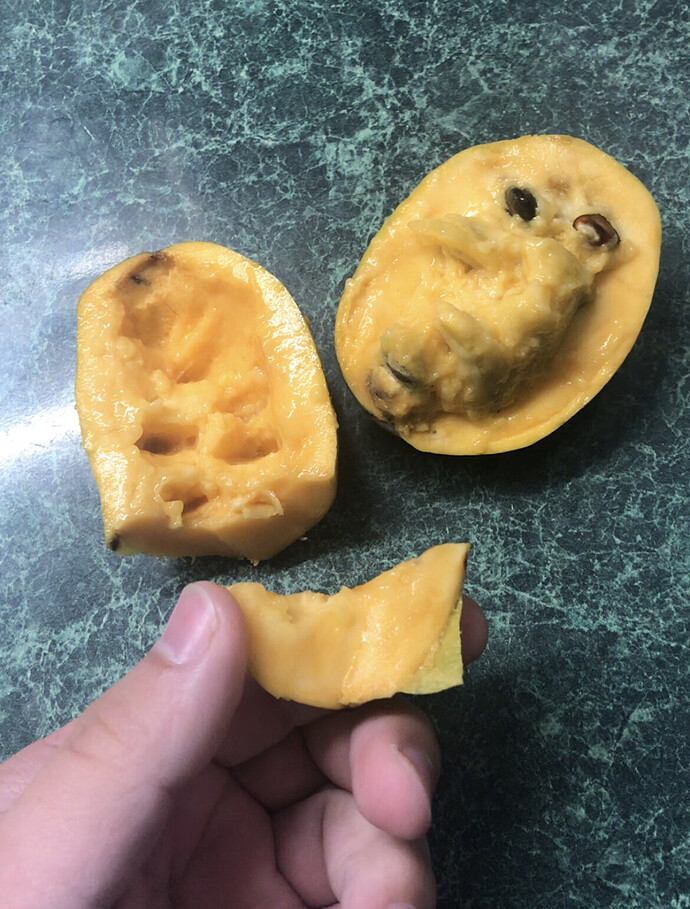 Halvins-Sidewinder photo 4