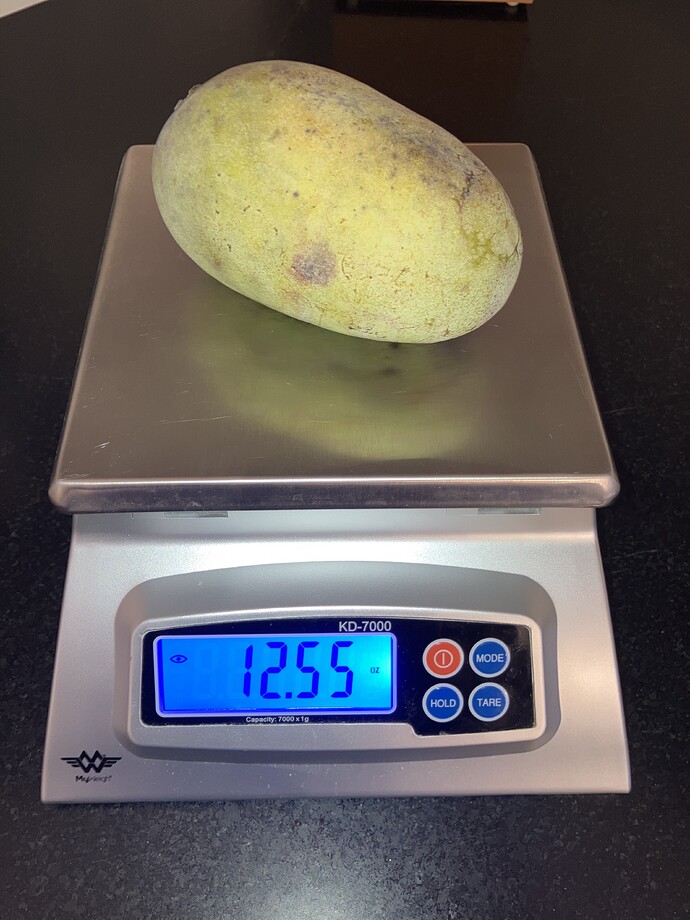 Jerrys-Big-Girl-250-39 photo 5