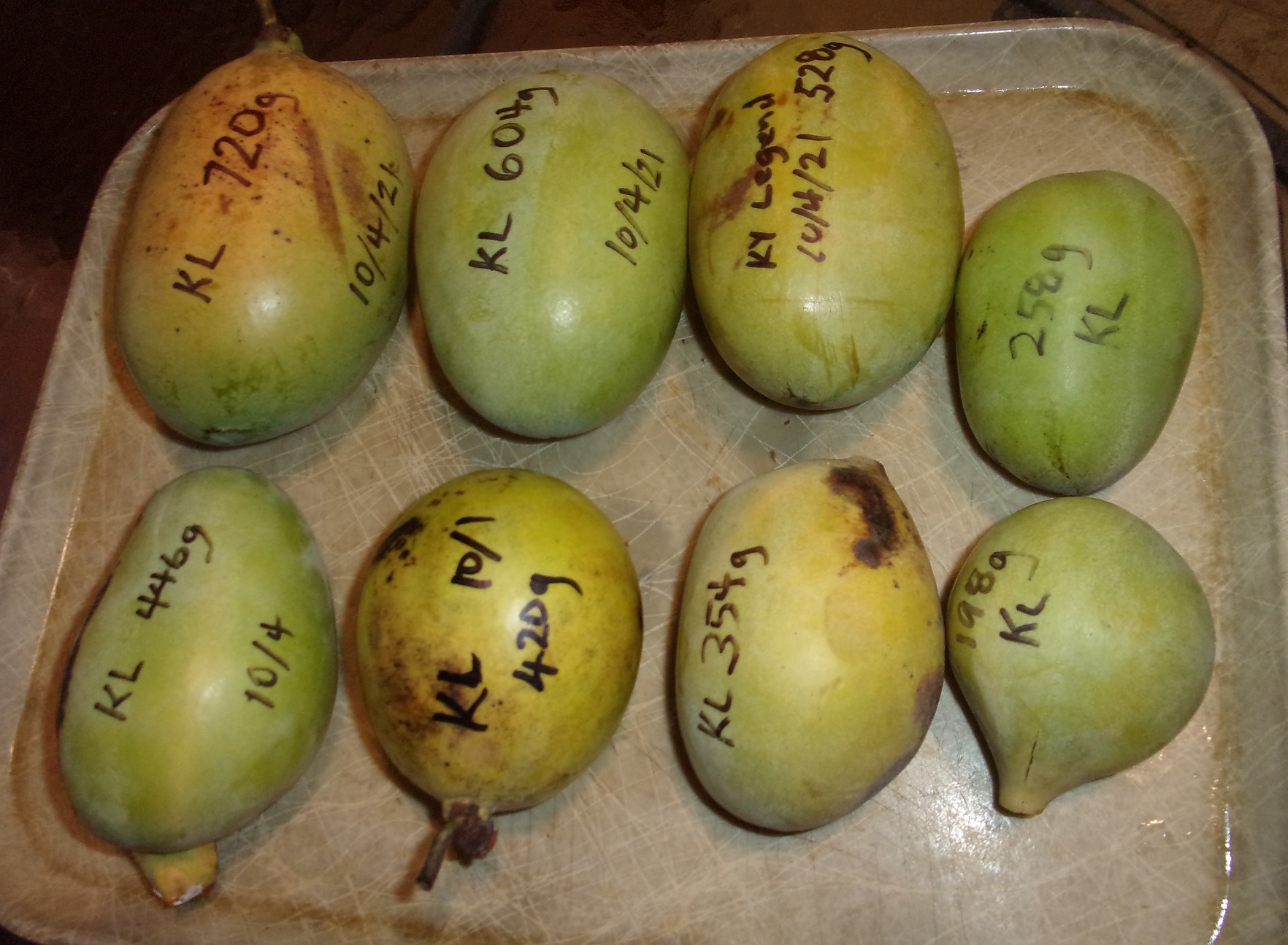 Kentucky-Legend-Titan photo 13