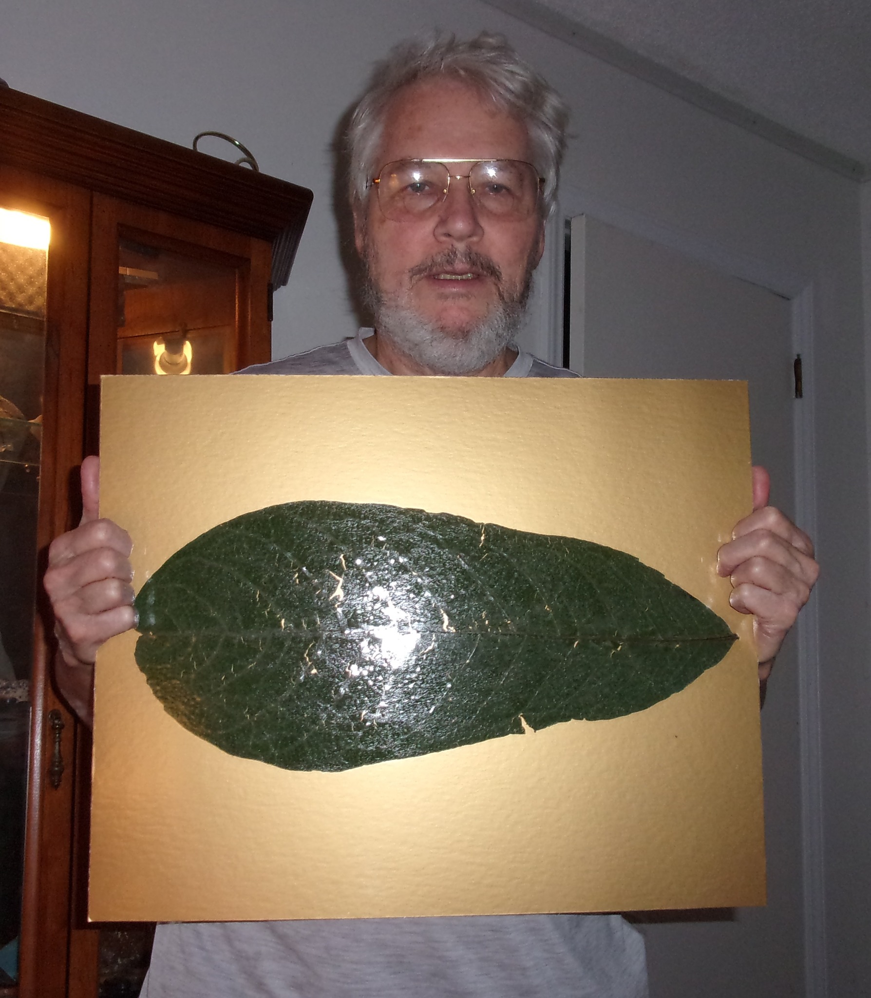 Kentucky-Legend-Titan photo 16