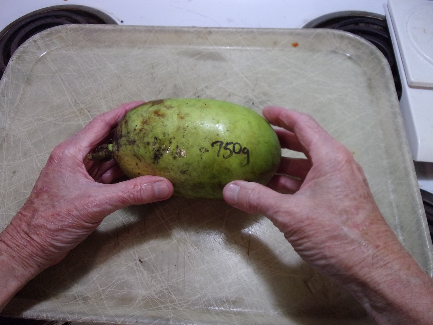 Kentucky-Legend-Titan photo 3