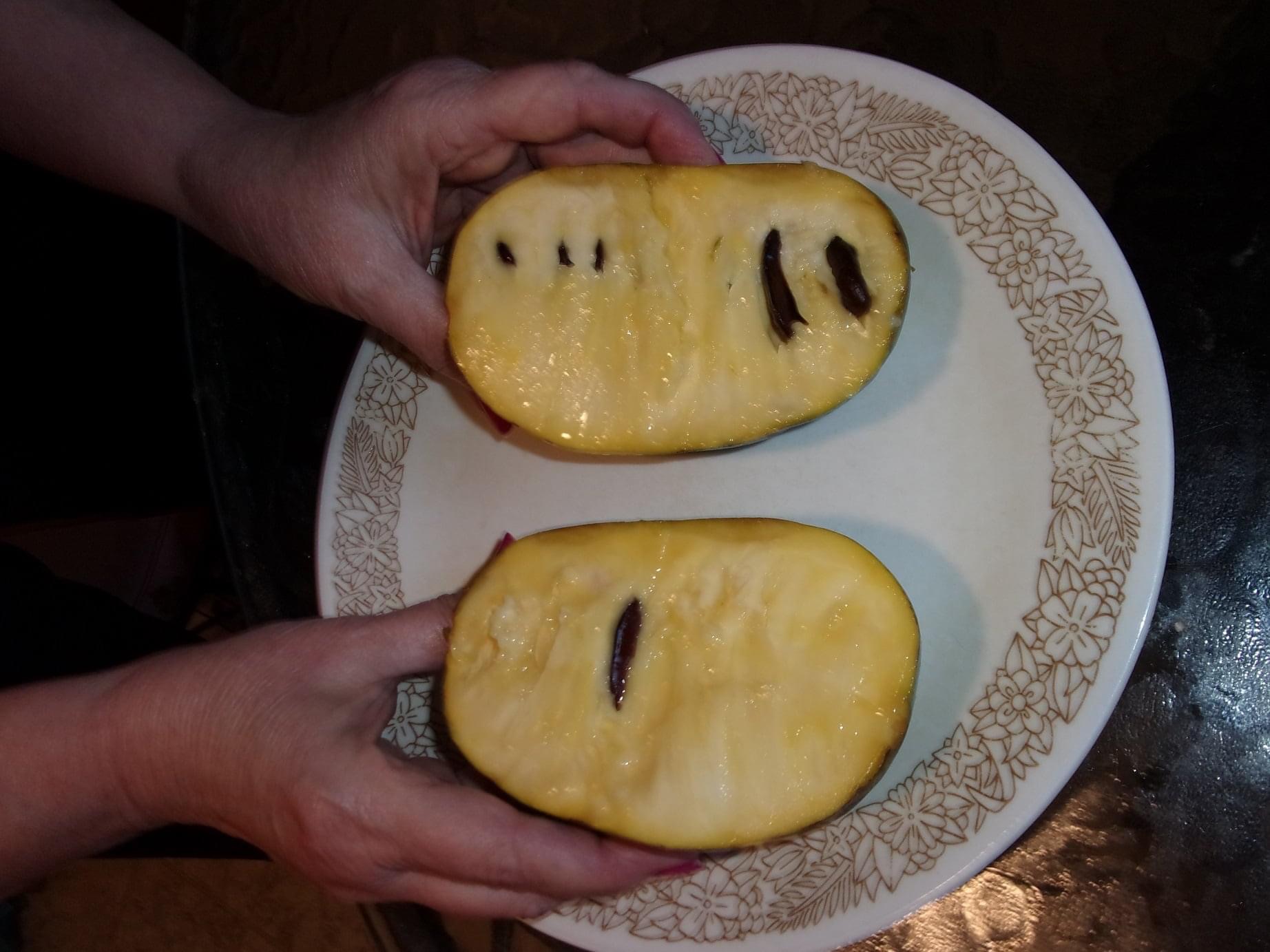 Kentucky-Legend-Titan photo 5