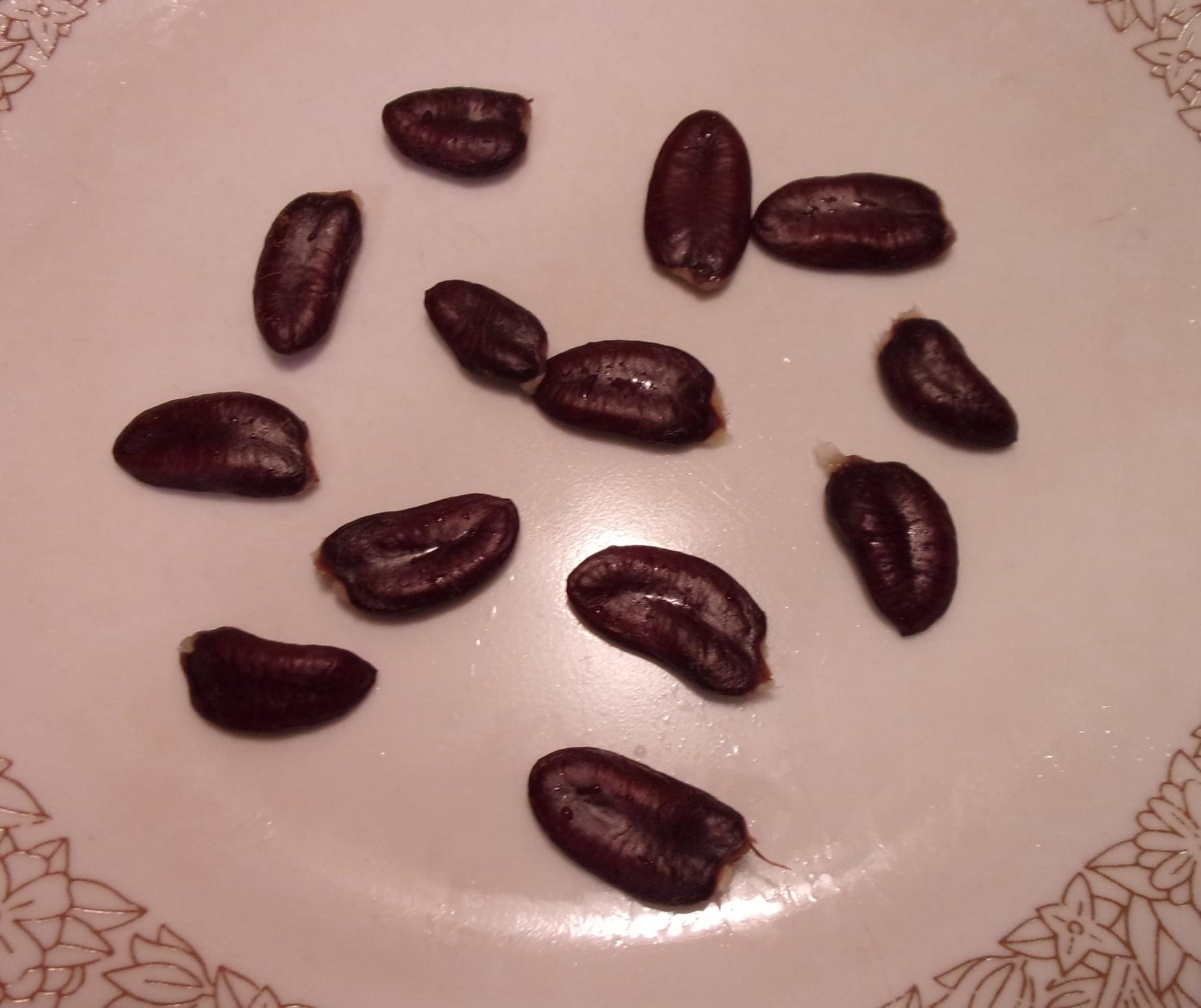 Kentucky-Legend-Titan photo 6