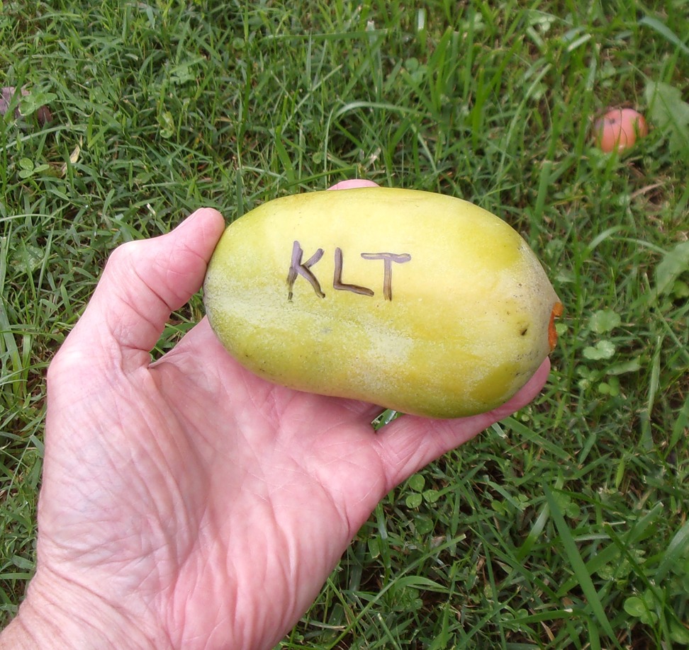 Kentucky-Legend-Titan photo 8