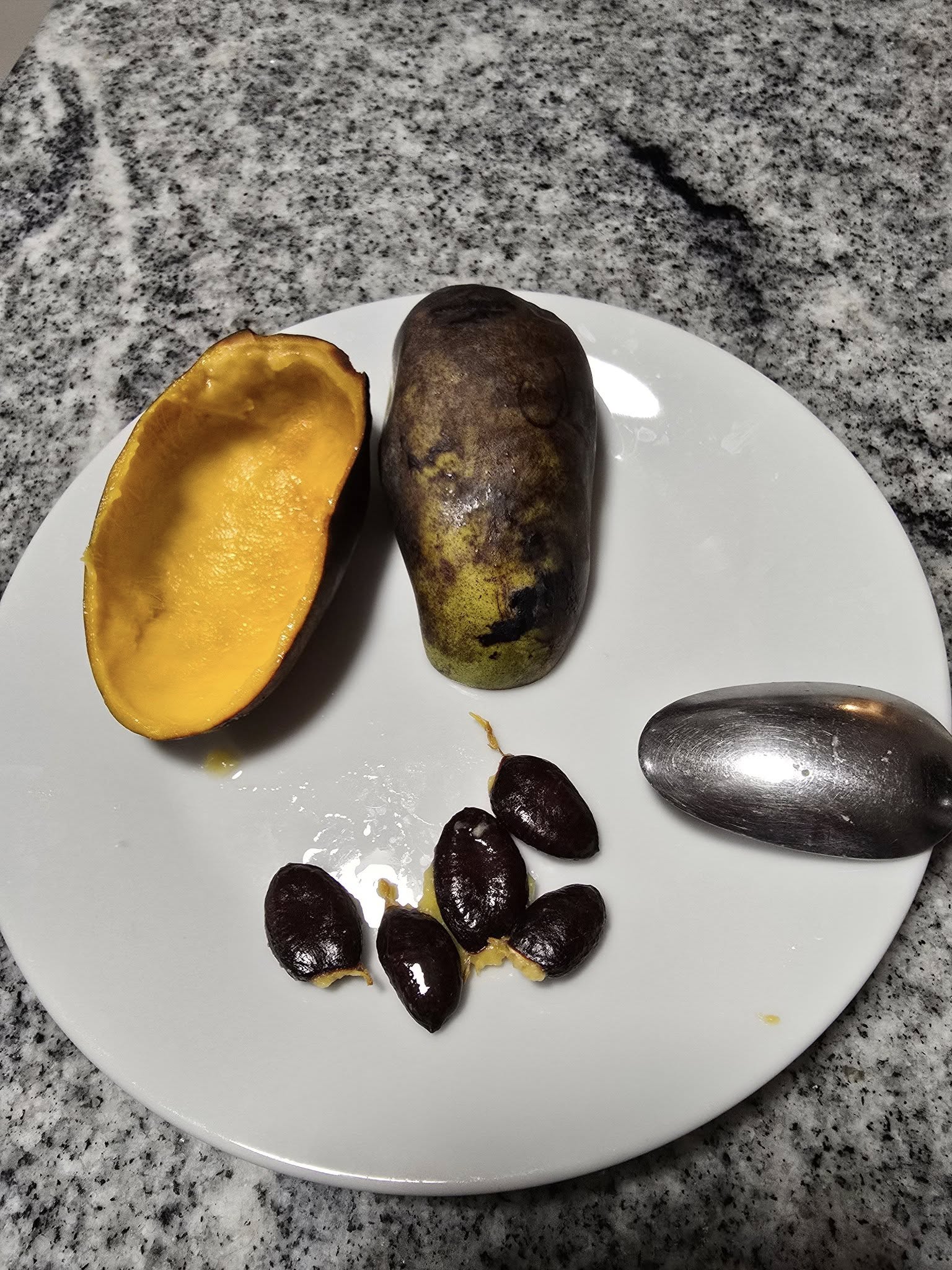 Ksu-Chappell photo 16