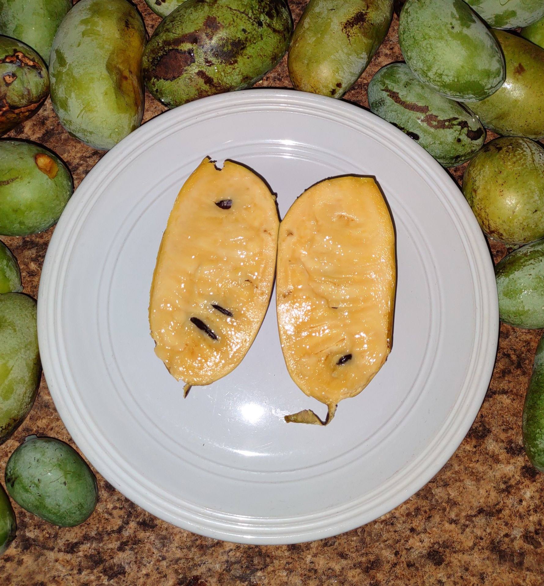 Ksu-Chappell photo 6