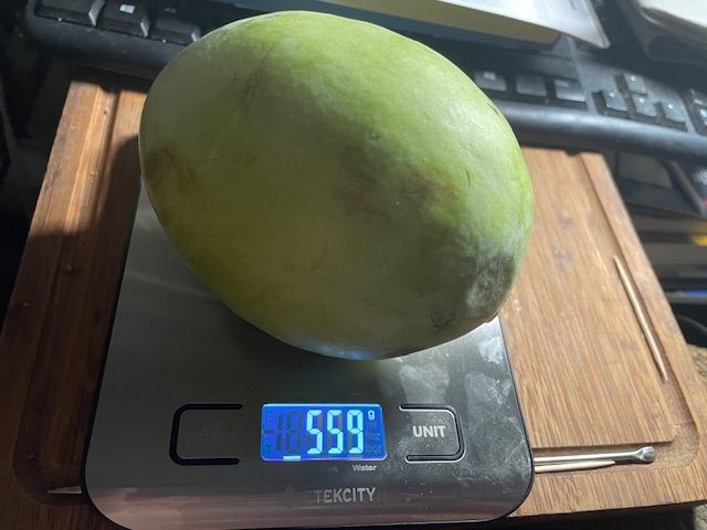 Ksu-Chappell photo 8