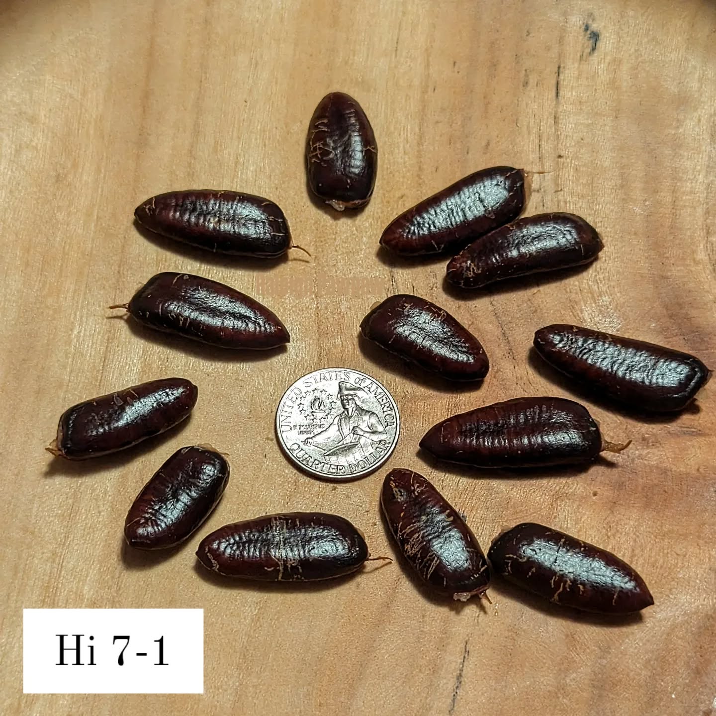 Ksu-Dunnigan photo 1