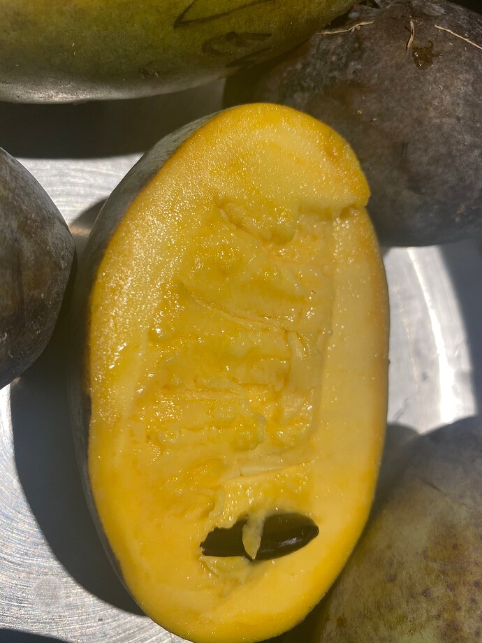 Ksu-Pompers-Choice photo 3