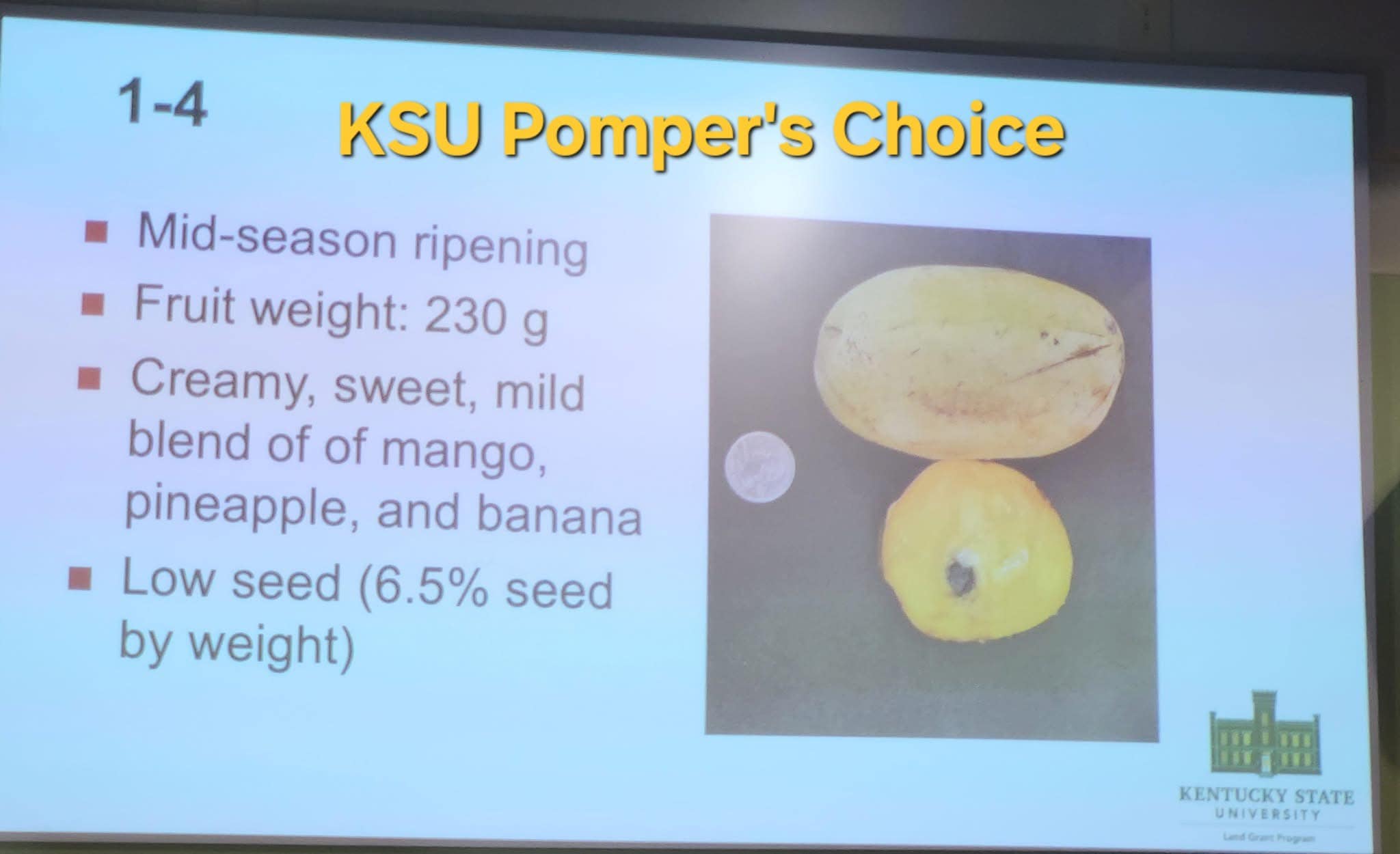 Ksu-Pompers-Choice photo 6