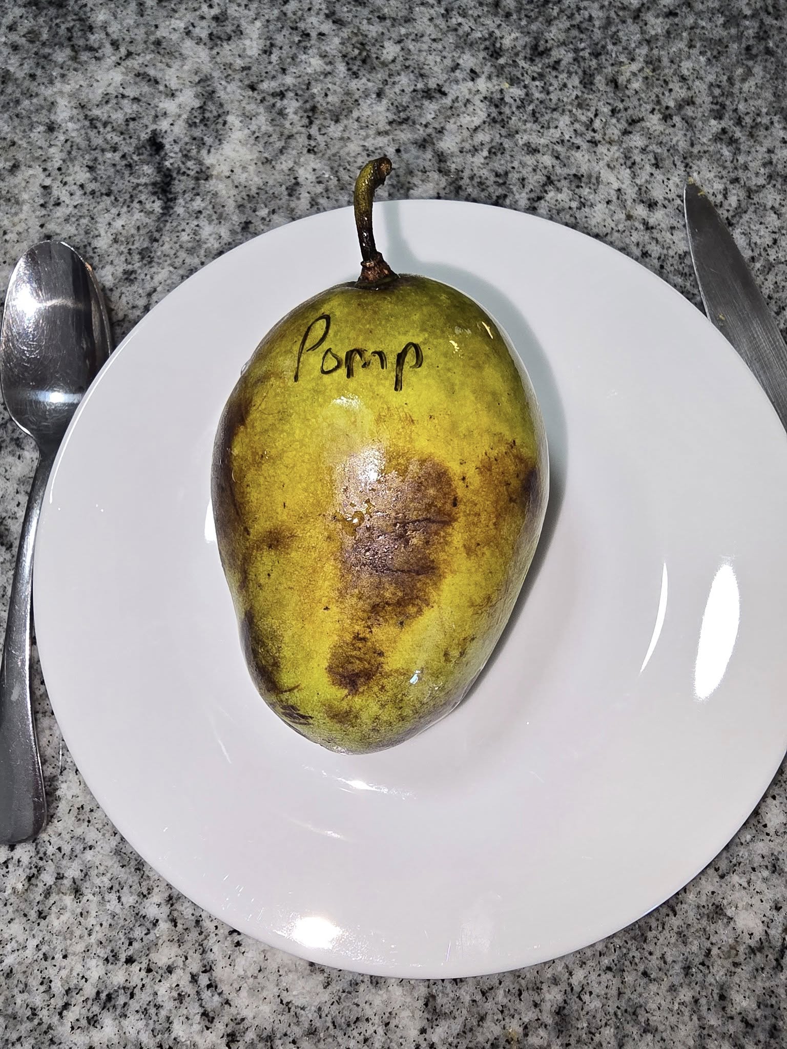 Ksu-Pompers-Choice photo 8