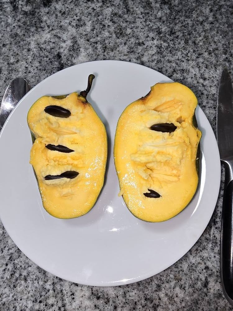 Ksu-Pompers-Choice photo 9