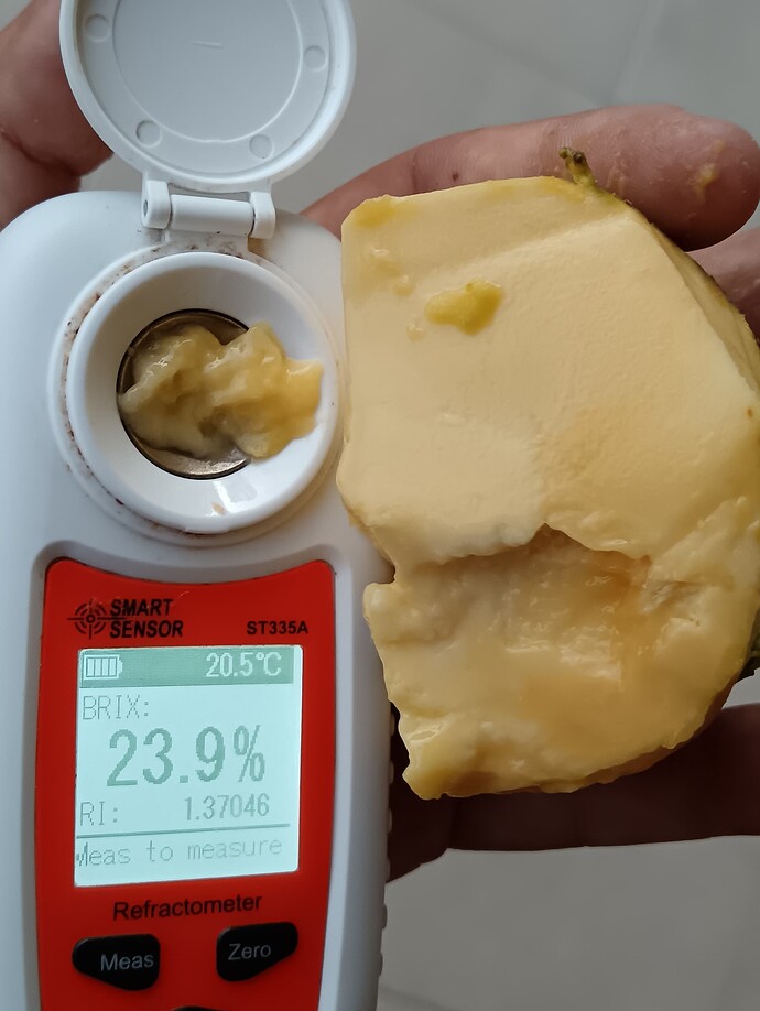 Lehmans-Chiffon photo 3