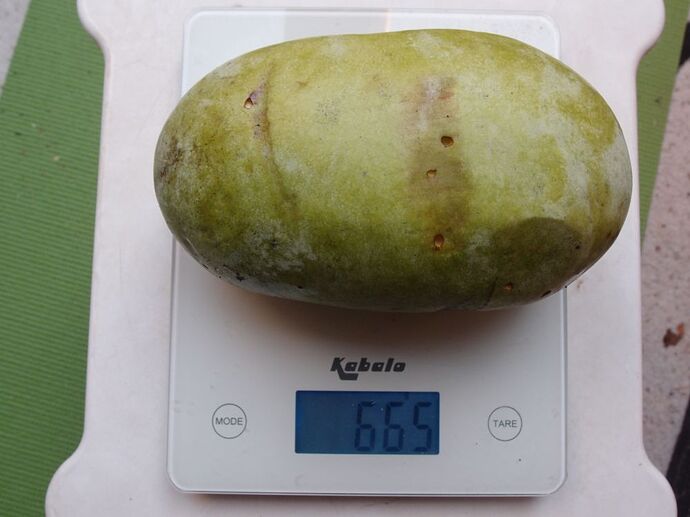 Lehmans-Delight-275-48 photo 6