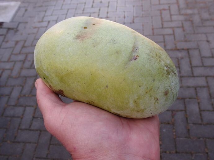 Lehmans-Delight-275-48 photo 5