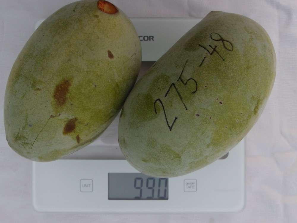 Lehmans-Delight-275-48 photo 7