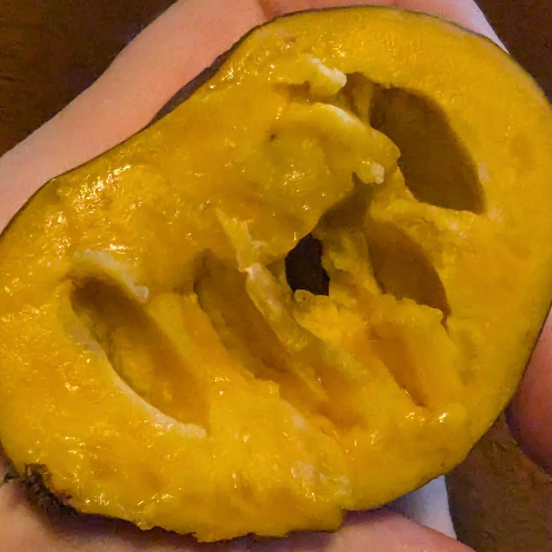 Marshmallow photo 13