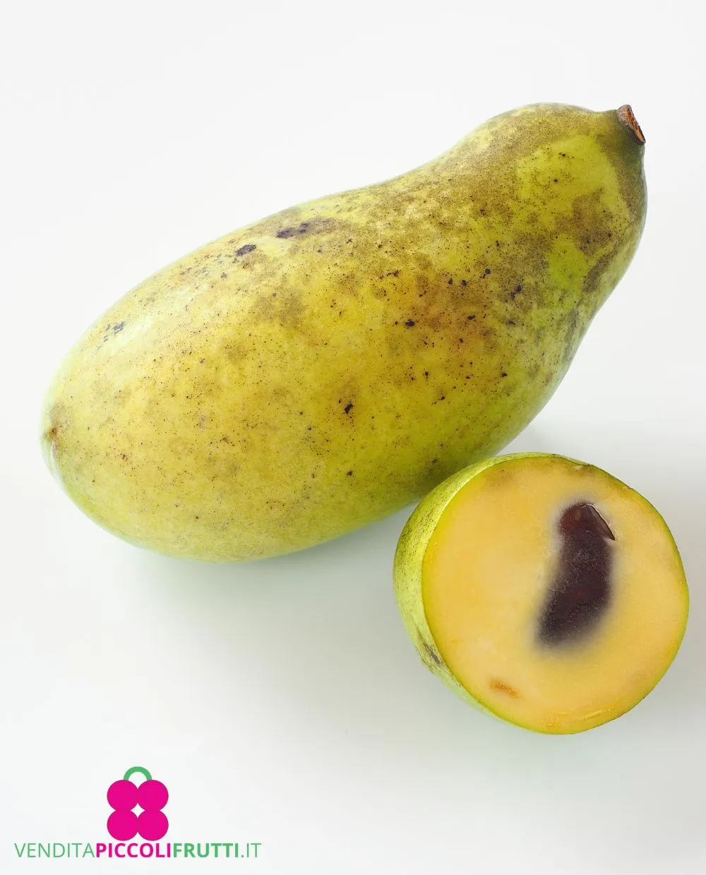 Mary-Foos-Johnson photo 1