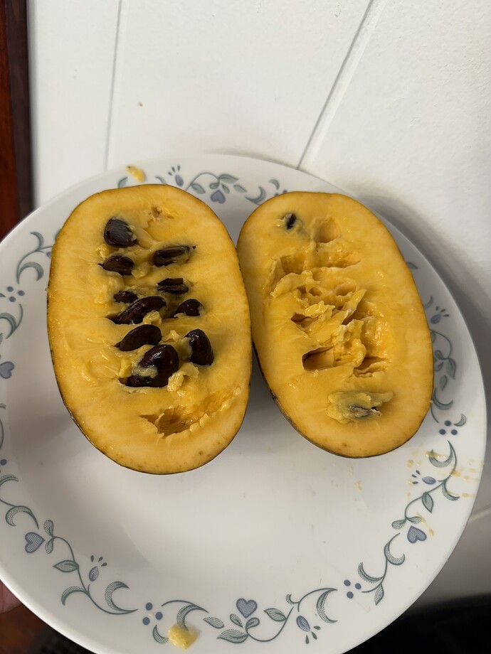 Nyomis-Delicious photo 7