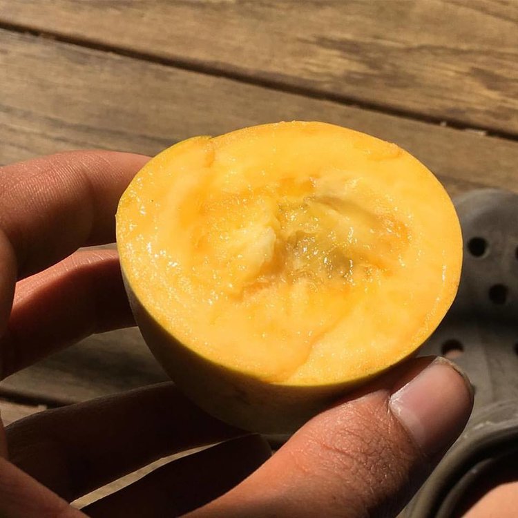 Rappahannock photo 1