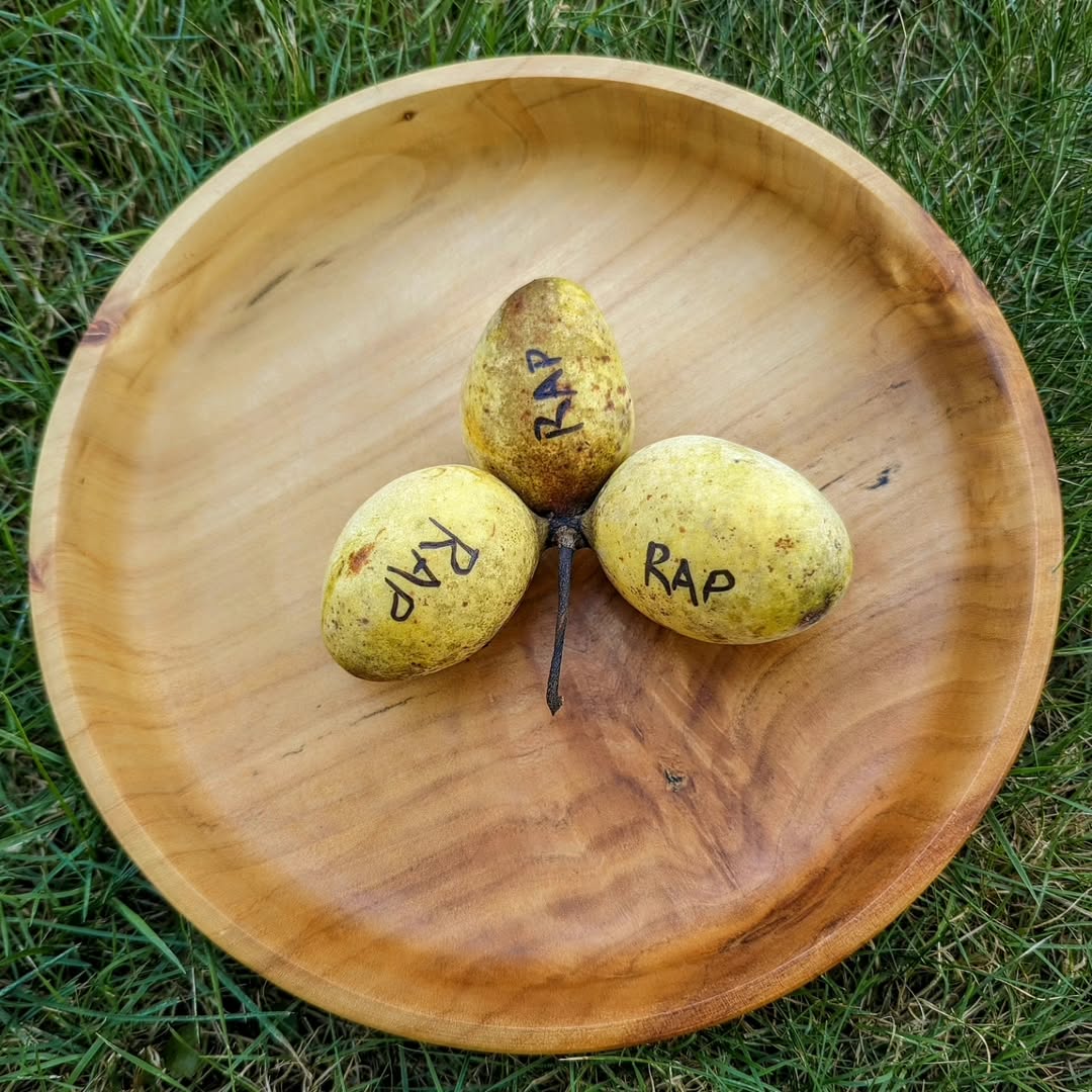 Rappahannock photo 7