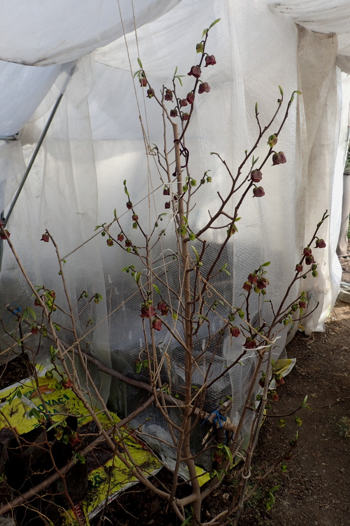 Rappahannock photo 10