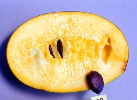 Rappahannock photo 3