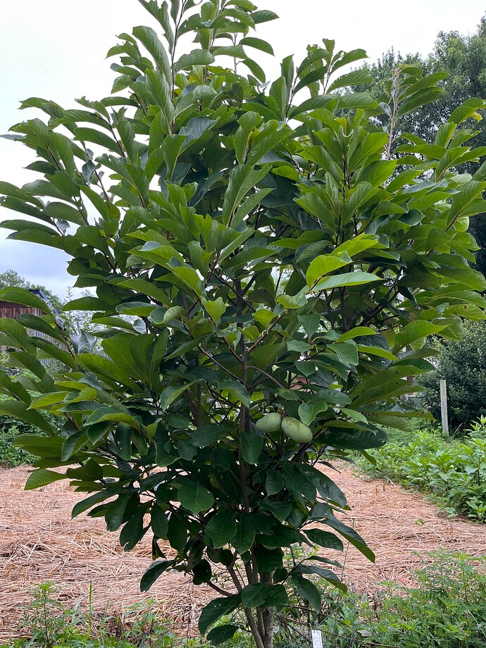 Rappahannock photo 4