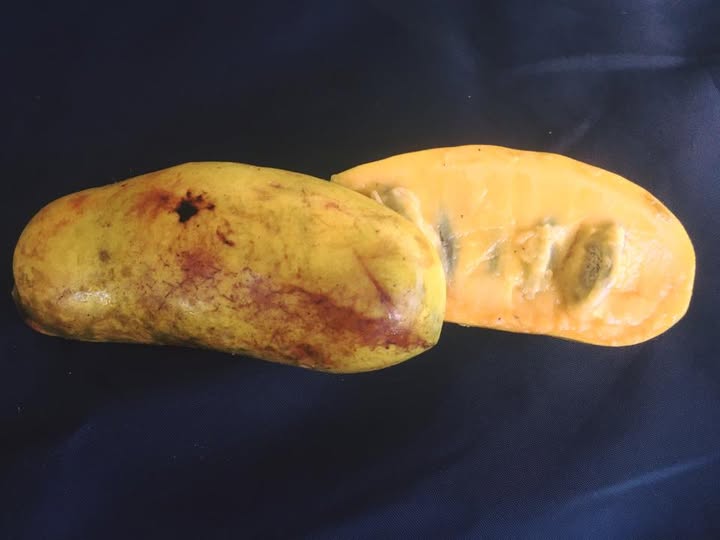 Ruby-Keenan фото 1