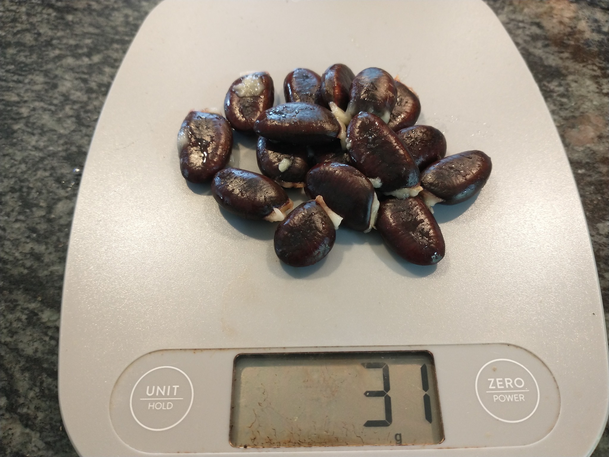 Saa-Overleese photo 15