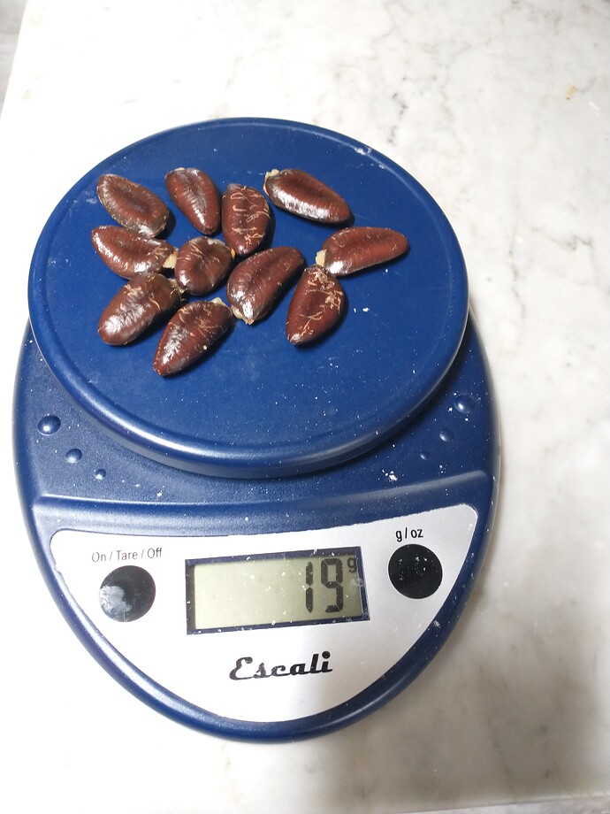 Saa-Overleese photo 17