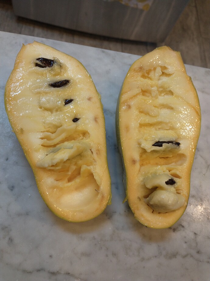 Saa-Overleese photo 14