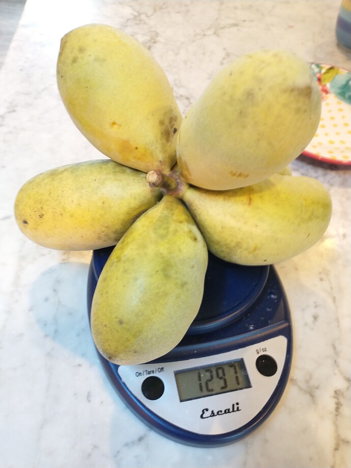 Saa-Overleese photo 8