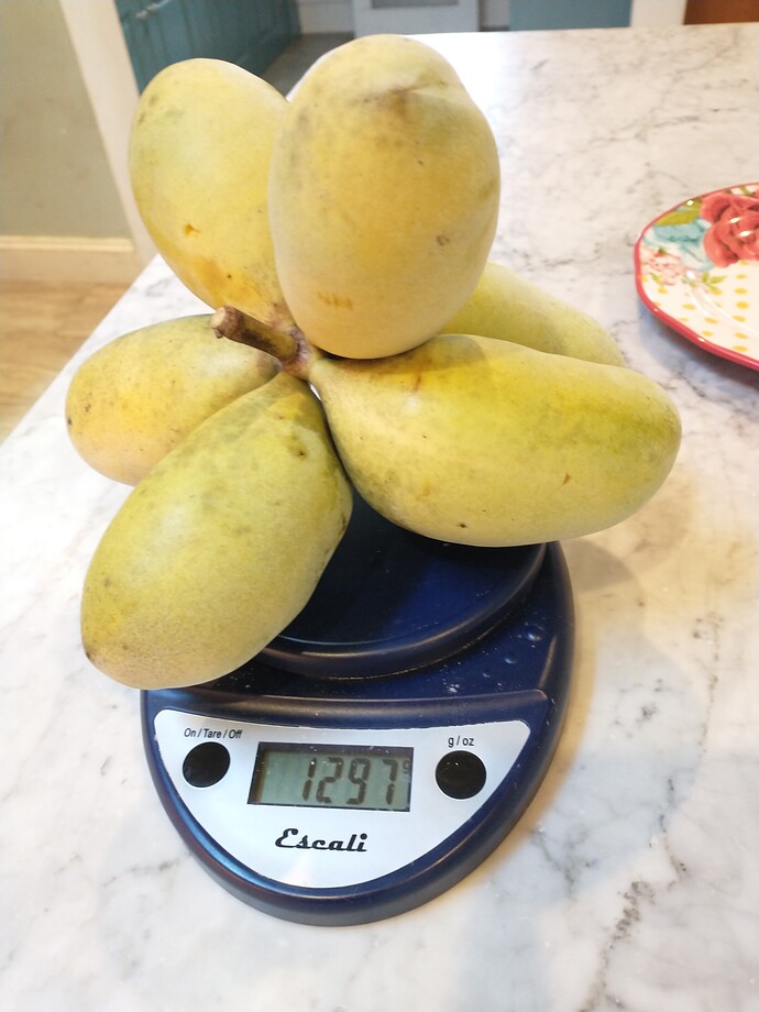 Saa-Overleese photo 9