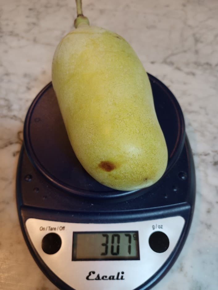 Saa-Overleese photo 10