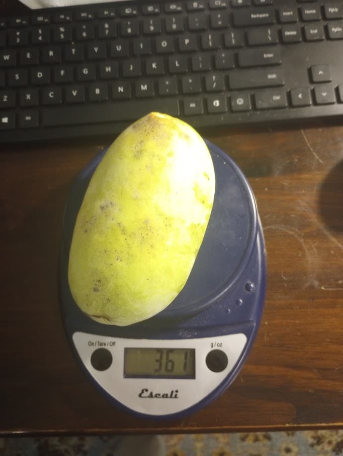 Saa-Overleese photo 11