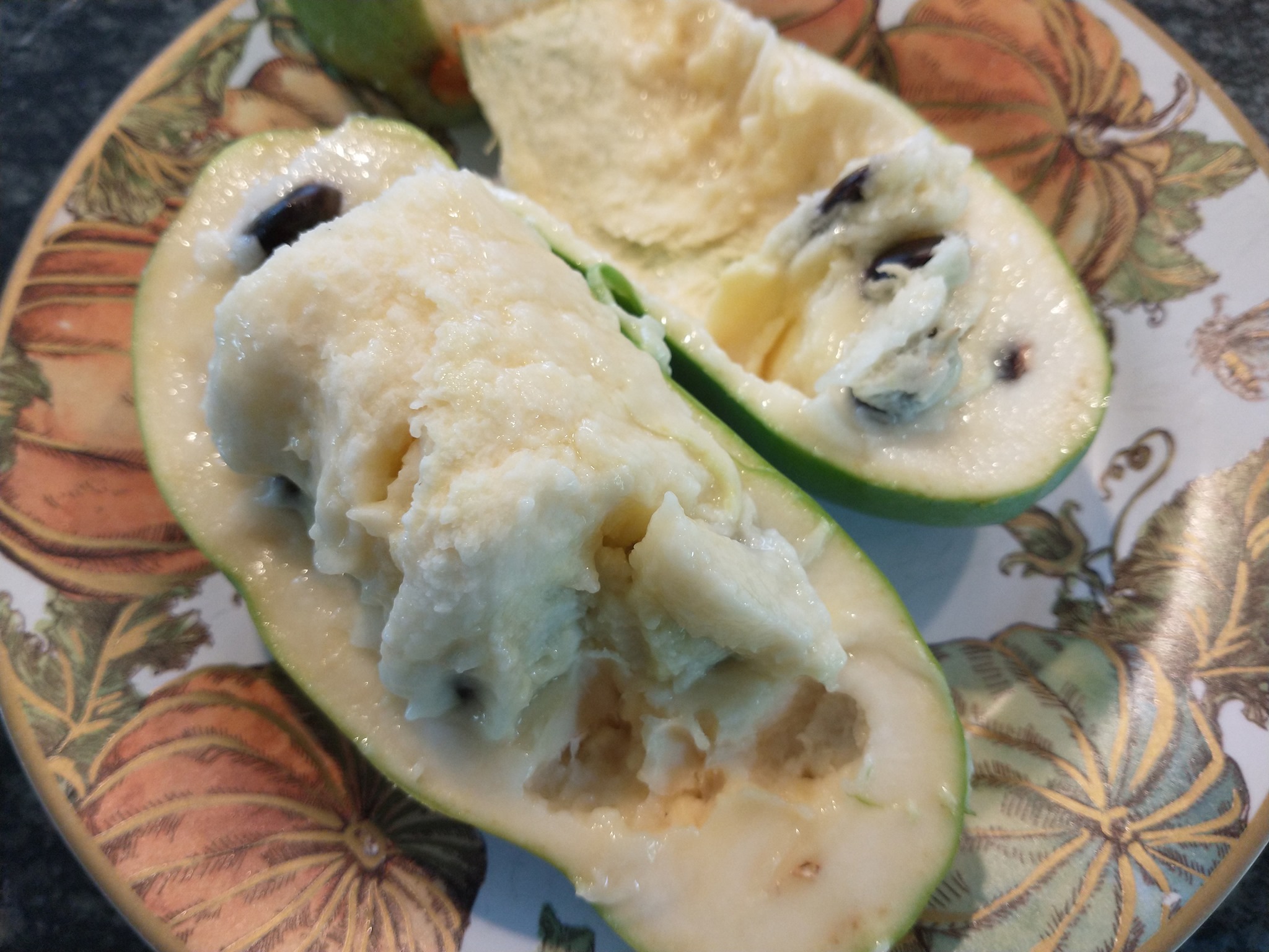 Saa-Overleese photo 12