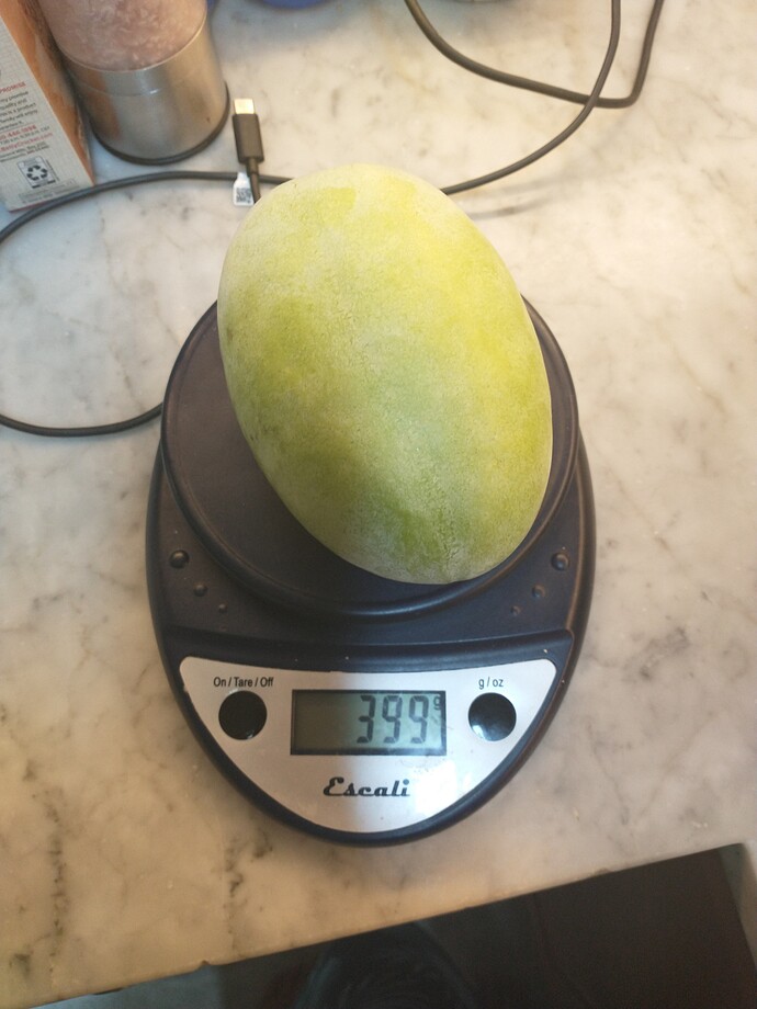 Saa-Overleese photo 6