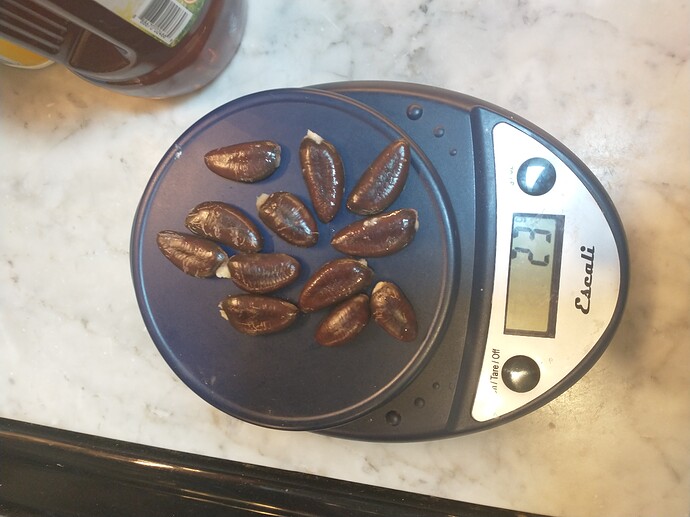 Saa-Overleese photo 16