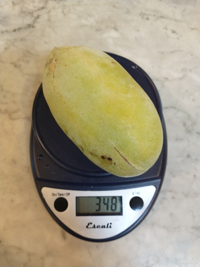 Saa-Overleese photo 7