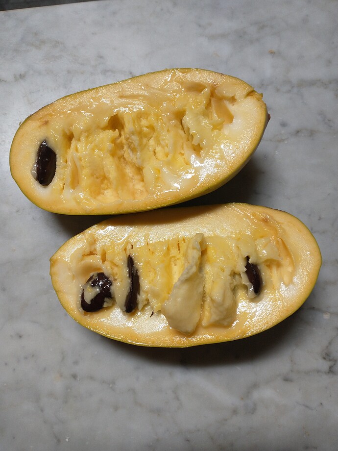 Saa-Overleese photo 13