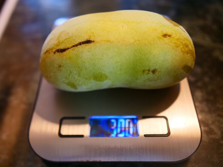 Tallahatchie-10-35 photo 6